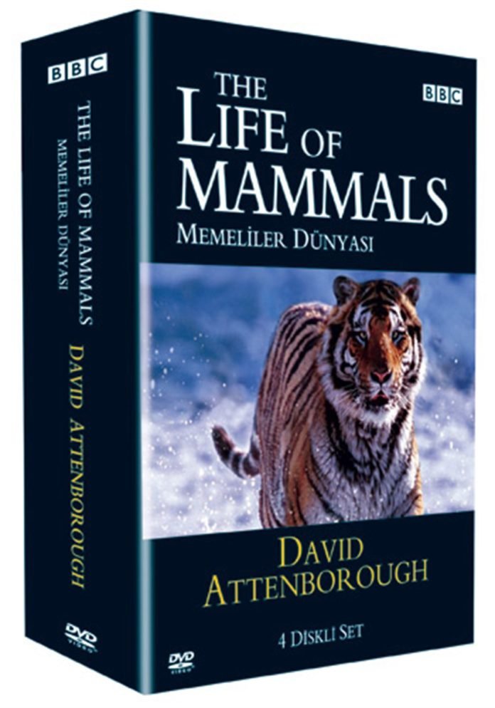 The Life of Mammals ( Memelilerin Yaşamı )